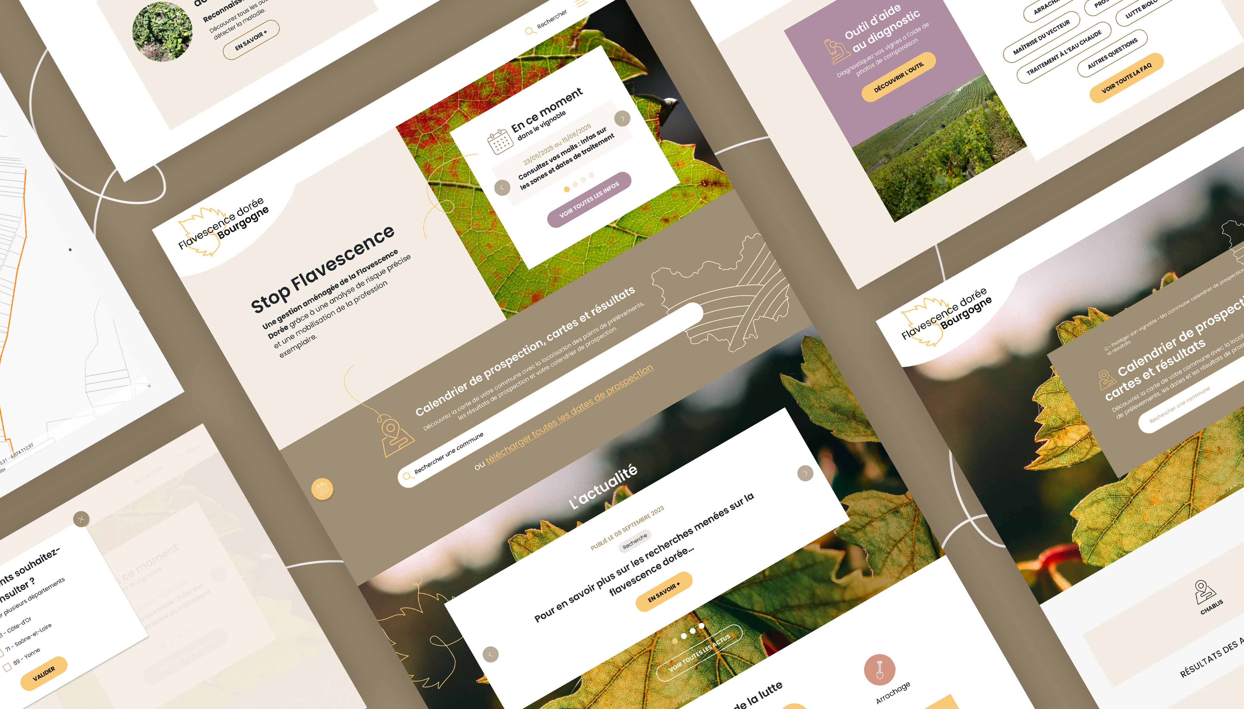 Bureau interprofessionnel des vins de Bourgogne