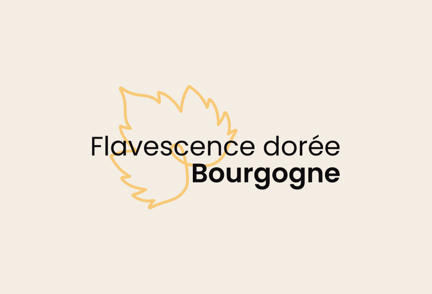 Bureau interprofessionnel des vins de Bourgogne