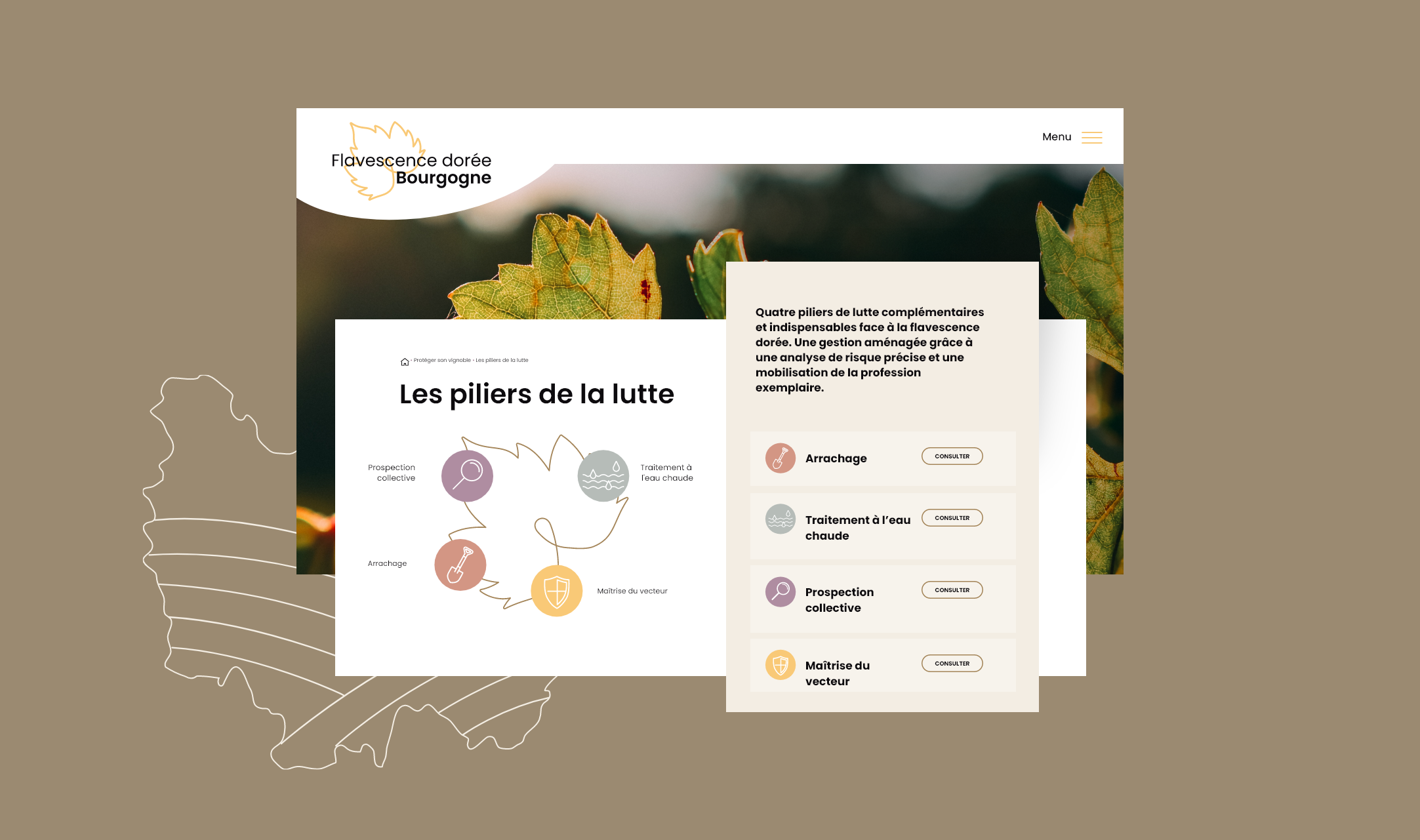 Bureau interprofessionnel des vins de Bourgogne